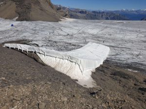 Galerie Zermatt Snowfarming Bild5